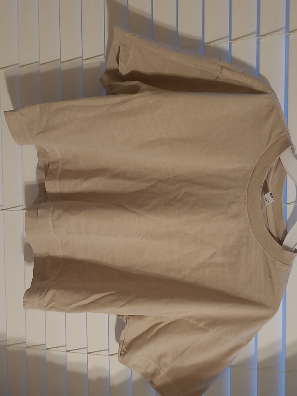 TWO (2)  American Apparel Beige Heavyweight Crewneck Crop Top Tee NWOT